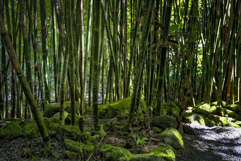 Cascade Vaimahuta Parking