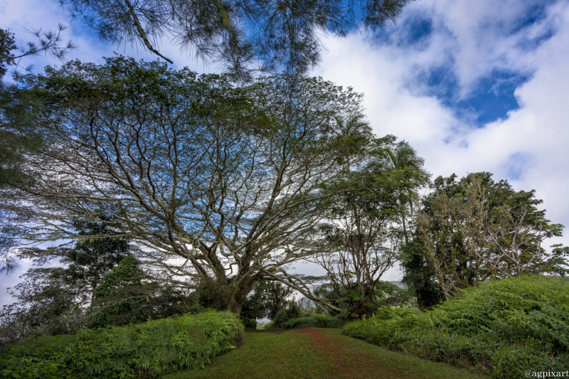 Scenic viewpoint, Taiarapu-Est - Afaahiti,