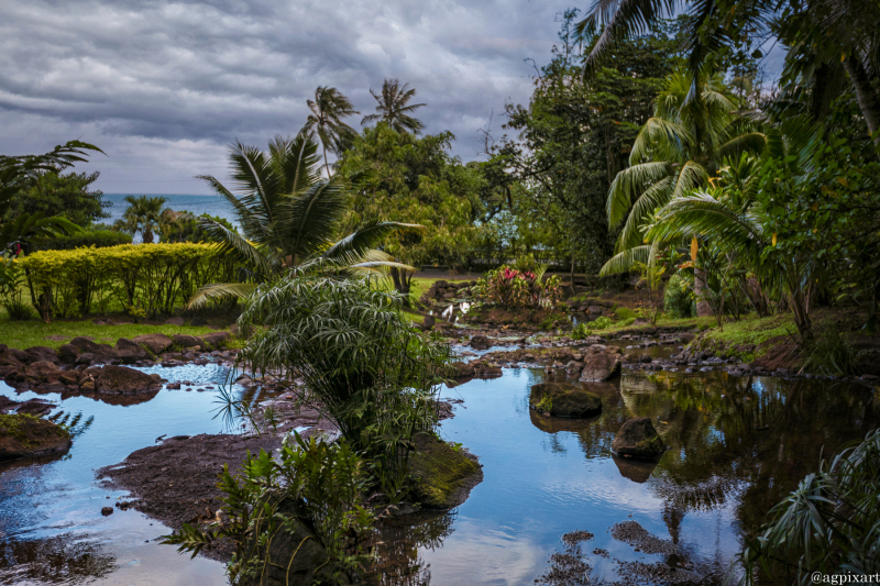 Jardin Botanique Harrison Smith