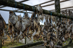 Fish Drying Racks, Road 42 near Hafnarfjörður