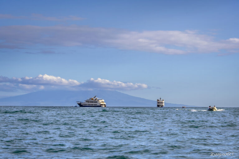 Cruising with Ecoventura