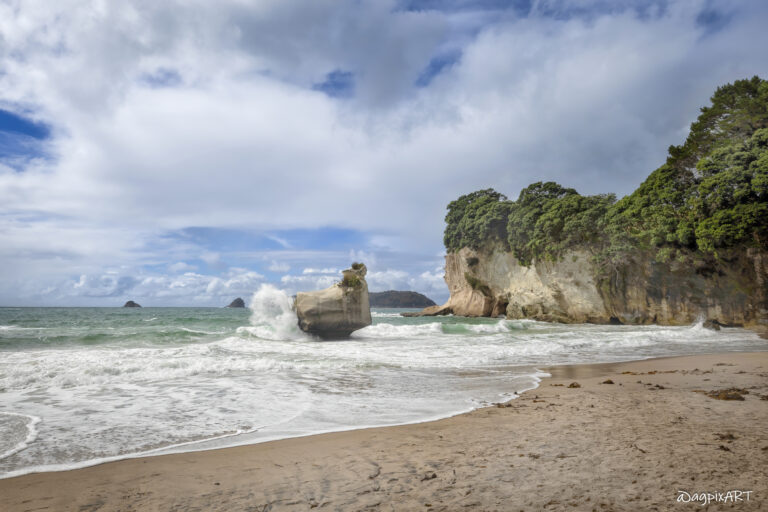 North Island, New Zealand